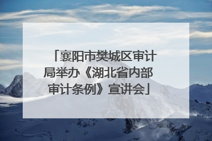襄阳市樊城区审计局举办《湖北省内部审计条例》宣讲会