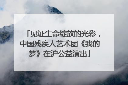 见证生命绽放的光彩，中国残疾人艺术团《我的梦》在沪公益演出
