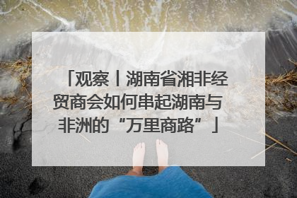 观察丨湖南省湘非经贸商会如何串起湖南与非洲的“万里商路”