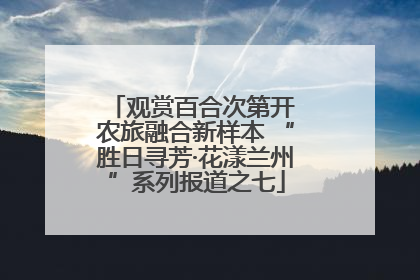 观赏百合次第开 农旅融合新样本 “胜日寻芳·花漾兰州”系列报道之七