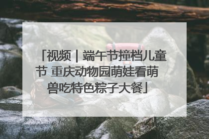 视频｜端午节撞档儿童节 重庆动物园萌娃看萌兽吃特色粽子大餐