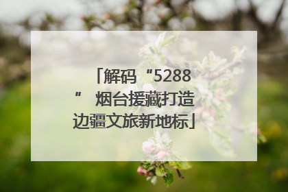 解码“5288” 烟台援藏打造边疆文旅新地标