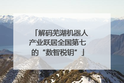 解码芜湖机器人产业跃居全国第七的“数智税钥”