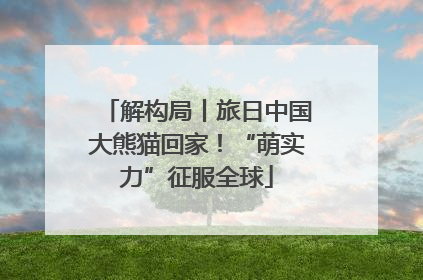 解构局丨旅日中国大熊猫回家！“萌实力”征服全球