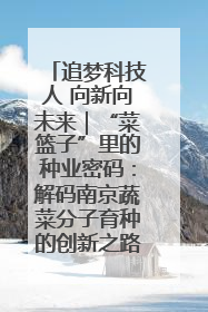 追梦科技人 向新向未来｜“菜篮子”里的种业密码：解码南京蔬菜分子育种的创新之路
