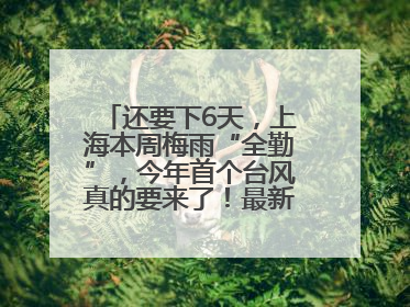 还要下6天，上海本周梅雨“全勤”，今年首个台风真的要来了！最新研判→