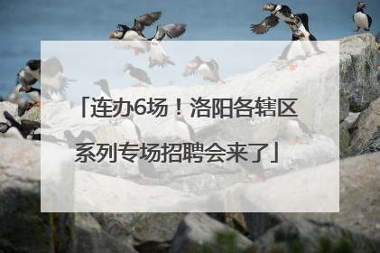 连办6场！洛阳各辖区系列专场招聘会来了
