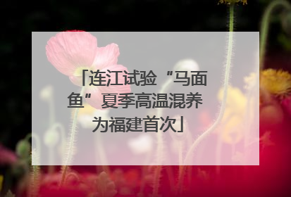 连江试验“马面鱼”夏季高温混养 为福建首次