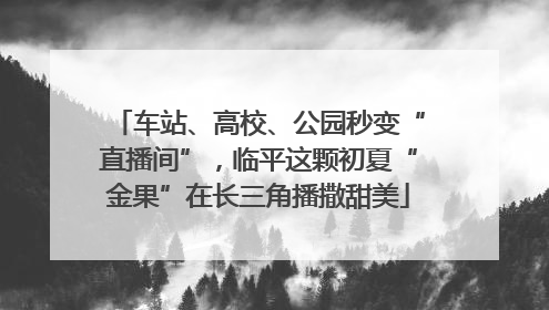 车站、高校、公园秒变“直播间”，临平这颗初夏“金果”在长三角播撒甜美