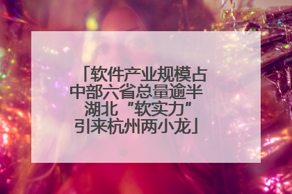 软件产业规模占中部六省总量逾半 湖北“软实力”引来杭州两小龙