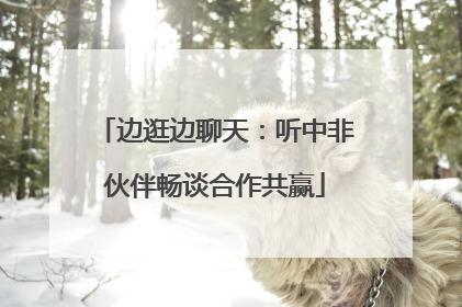 边逛边聊天：听中非伙伴畅谈合作共赢