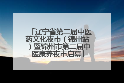 辽宁省第二届中医药文化夜市（锦州站）暨锦州市第二届中医康养夜市启幕