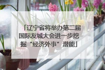 辽宁省将举办第二届国际友城大会进一步挖掘“经济外事”潜能