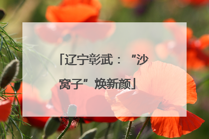辽宁彰武：“沙窝子”焕新颜