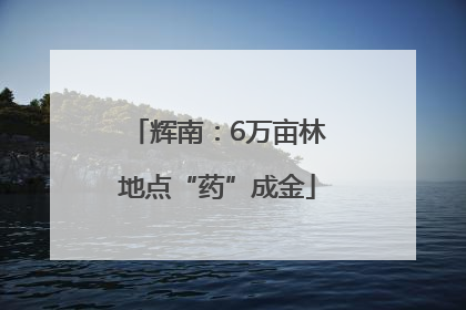 辉南：6万亩林地点“药”成金