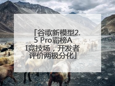 谷歌新模型2.5 Pro霸榜AI竞技场，开发者评价两极分化