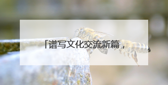 谱写文化交流新篇，《小伙小妹换游记》获斯里兰卡旅游部点赞