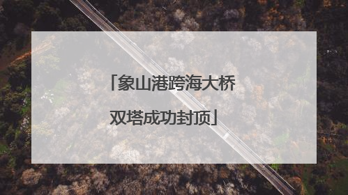 象山港跨海大桥双塔成功封顶