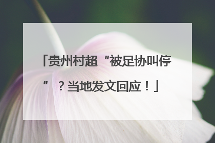 贵州村超“被足协叫停”？当地发文回应！