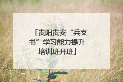 贵阳贵安“兵支书”学习能力提升培训班开班