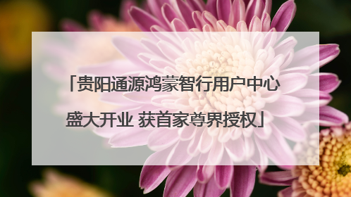 贵阳通源鸿蒙智行用户中心盛大开业 获首家尊界授权