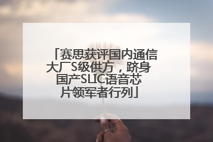 赛思获评国内通信大厂S级供方，跻身国产SLIC语音芯片领军者行列