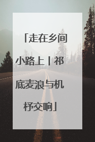 走在乡间小路上丨祁底麦浪与机杼交响