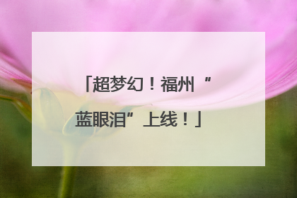超梦幻！福州“蓝眼泪”上线！