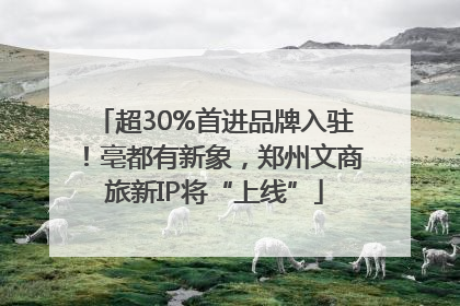 超30%首进品牌入驻！亳都有新象，郑州文商旅新IP将“上线”