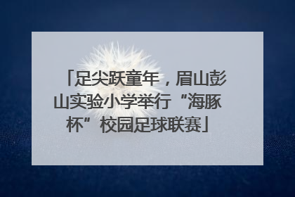 足尖跃童年，眉山彭山实验小学举行“海豚杯”校园足球联赛