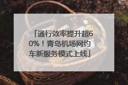 通行效率提升超60%！青岛机场网约车新服务模式上线