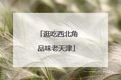 逛吃西北角 品味老天津