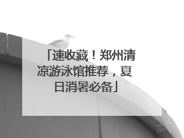 速收藏！郑州清凉游泳馆推荐，夏日消暑必备