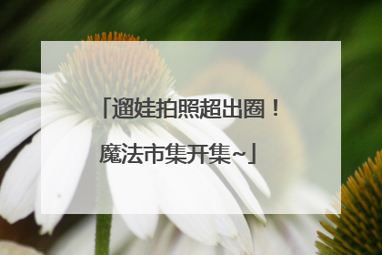 遛娃拍照超出圈！魔法市集开集~