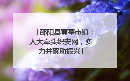 邵阳县黄亭市镇：人大牵头织安网，多力并聚助振兴