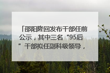 邵阳隆回发布干部任前公示，其中三名“95后”干部拟任副科级领导，均系硕士选调生