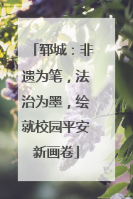 郓城：非遗为笔，法治为墨，绘就校园平安新画卷