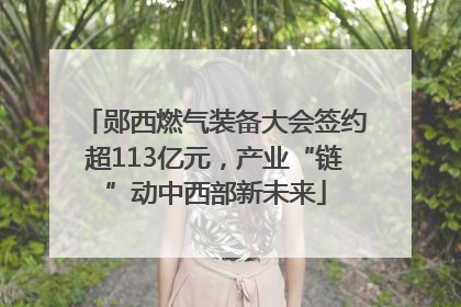 郧西燃气装备大会签约超113亿元，产业“链”动中西部新未来