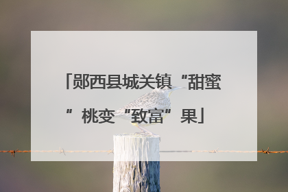 郧西县城关镇“甜蜜”桃变“致富”果