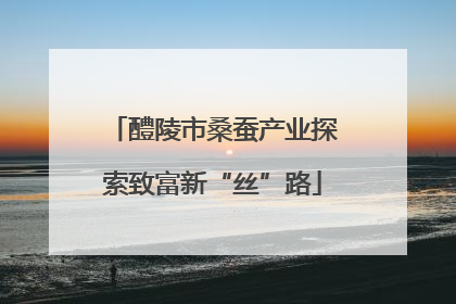 醴陵市桑蚕产业探索致富新“丝”路