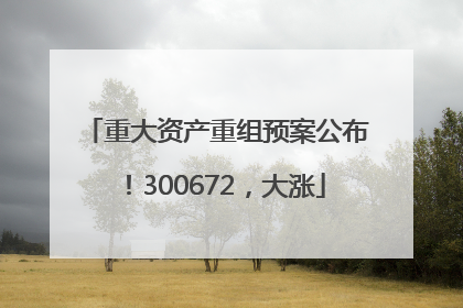 重大资产重组预案公布！300672，大涨