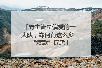 野生流量偏爱的一大队，缘何有这么多“爆款”民警