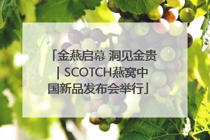 金燕启幕 洞见金贵｜SCOTCH燕窝中国新品发布会举行