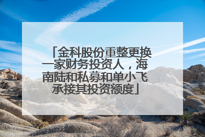 金科股份重整更换一家财务投资人，海南陆和私募和单小飞承接其投资额度
