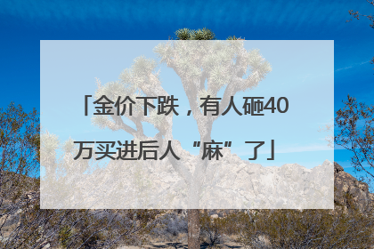 金价下跌，有人砸40万买进后人“麻”了