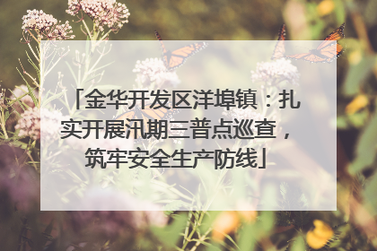 金华开发区洋埠镇：扎实开展汛期三普点巡查，筑牢安全生产防线
