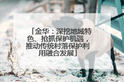 金华：深挖地域特色、抢抓保护机遇，推动传统村落保护利用融合发展