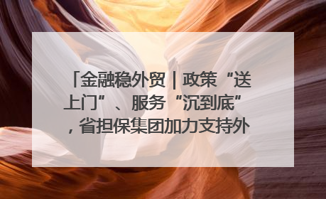 金融稳外贸｜政策“送上门”、服务“沉到底”，省担保集团加力支持外经贸高质量发展