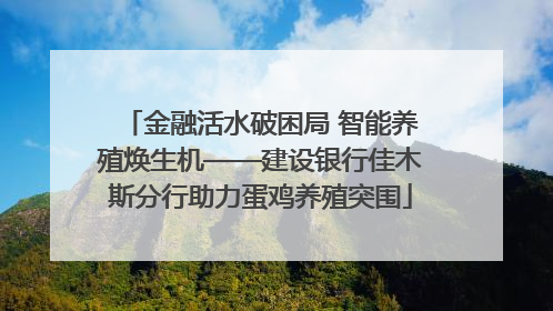 金融活水破困局 智能养殖焕生机——建设银行佳木斯分行助力蛋鸡养殖突围
