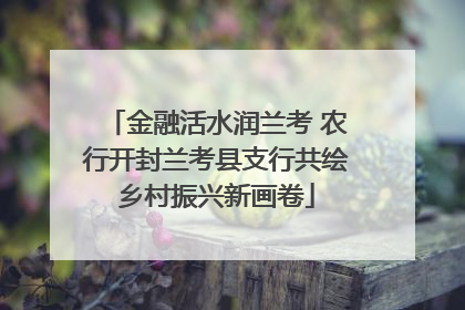 金融活水润兰考 农行开封兰考县支行共绘乡村振兴新画卷